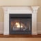 Duluth Forge Dual Fuel Ventless Gas Fireplace Insert - 32,000 Btu, Remote Control FDF400RT-ZC - alternate 2
